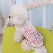 JESMARY - Nên mua quần áo cho thú cưng ở đâu giá tốt, chất lượng hàng